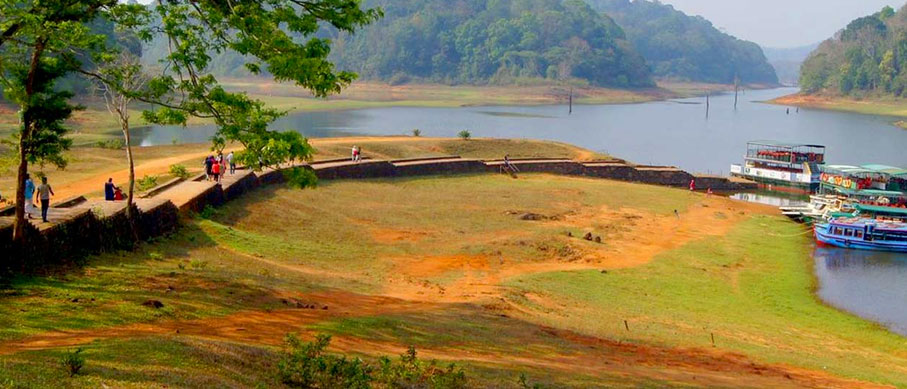 thekkady view