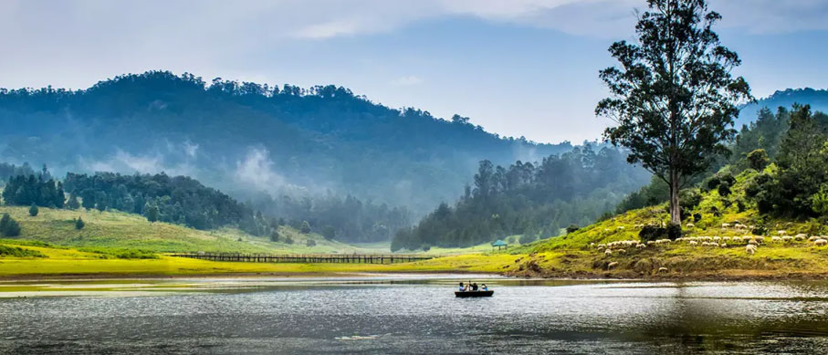 periyar and kodaikanal tour