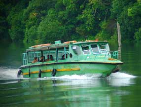 periyar boat safari