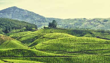 periyar during summer