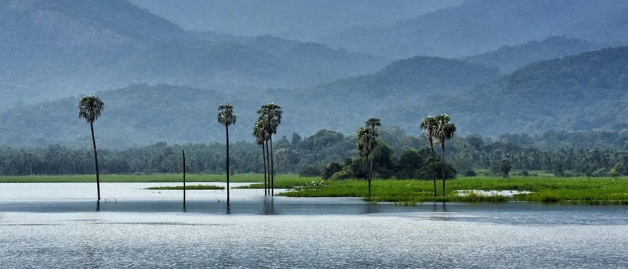 palakkad and periyar tour 