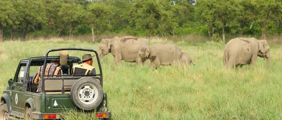 periyar safari tips