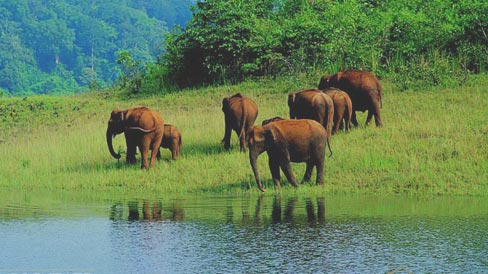 periyar tours