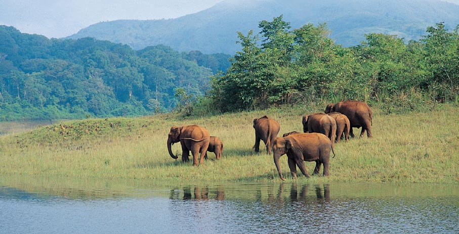 periyar group tour