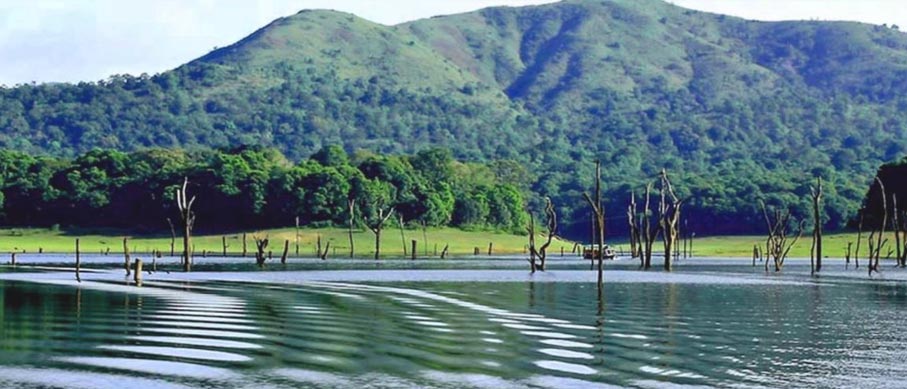 thekkady nature