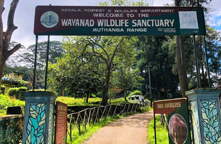 wayanad safari gate